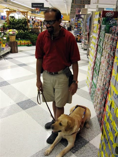 Tilden doing obedience exercises inside the store